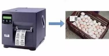 二維碼追溯食品安全，黃埔區(qū)試點(diǎn)推廣應(yīng)用