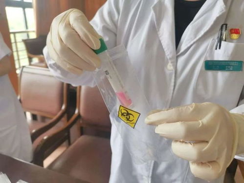 嘉定社區(qū)衛(wèi)生服務(wù)中心 核酸檢測(cè)采樣與環(huán)保科技技術(shù)開發(fā)服務(wù)介紹