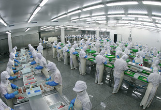 軟排線(xiàn)檢測(cè)服務(wù) 精細(xì)化Sorting與重工復(fù)判流程解析